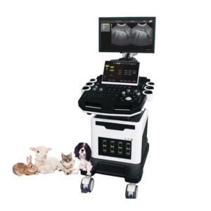 APV-8T Advanced Veterinary Ultrasound System with Doppler, Elastography, and TDI for Cardiac and Abdominal Imaging 3