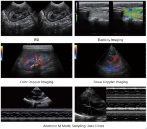 Portable Veterinary Cardiac Ultrasound Machine with Doppler for Animals 1