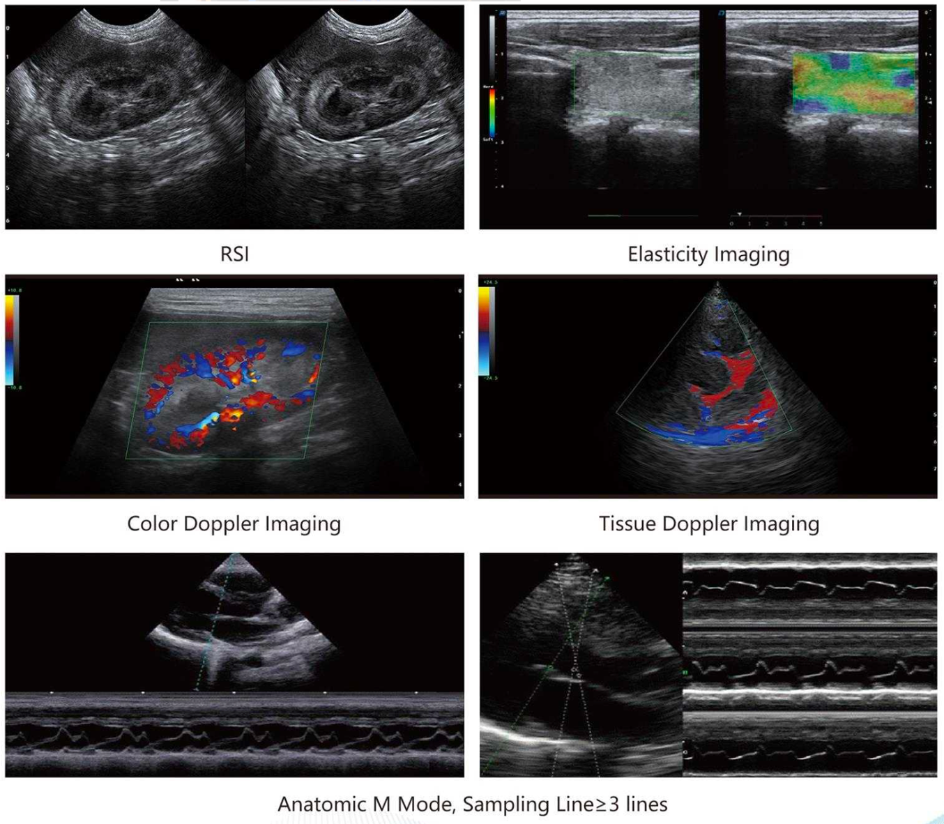 Veterinary cardiac ultrasound imaging with Doppler