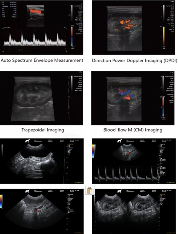 Veterinary ultrasound image for cardiac and abdominal diagnostic examination