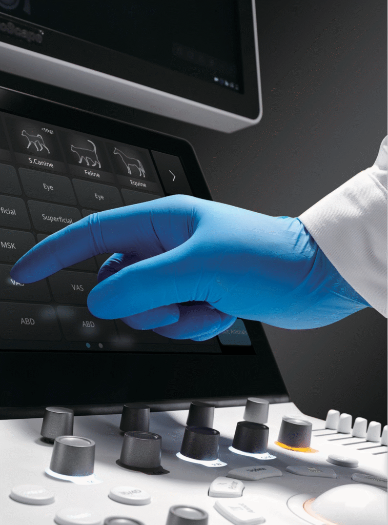 veterinarian using portable veterinary ultrasound on a dog in an animal clinic