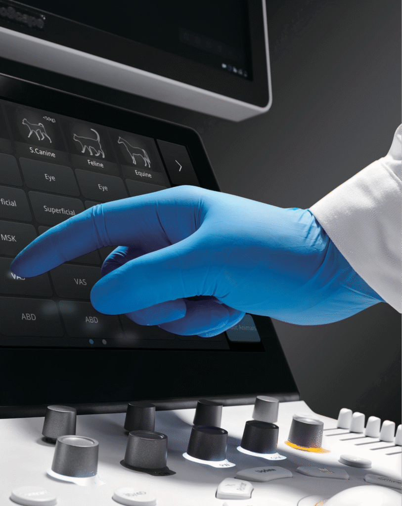 Veterinarian using portable veterinary ultrasound on a dog