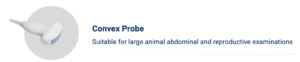 Convex Probe – Routine abdominal examinations in dogs and cats