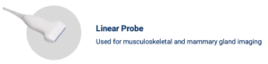 Linear Probe – Superficial structures such as tendons, testis, and small organs