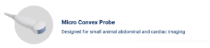 Micro-Convex Probe – Abdominal and reproductive imaging in small animals