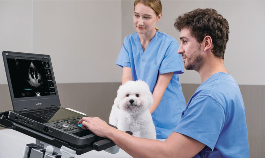 Ultrasound systems for veterinary diagnosis