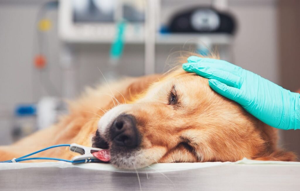 Anaesthesia system