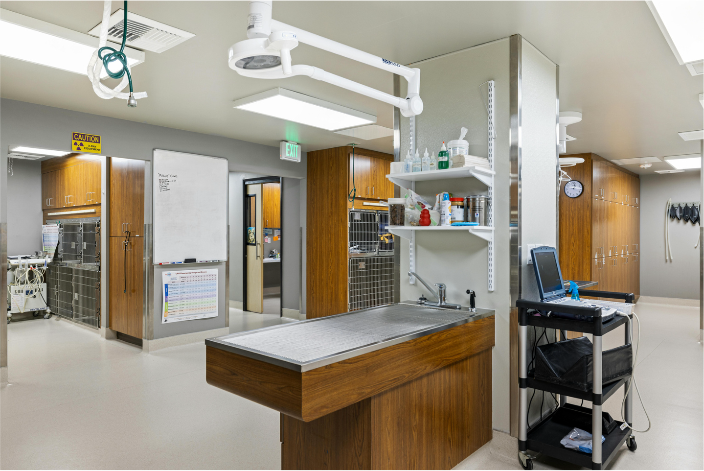 Veterinary Clinics and Hospitals
