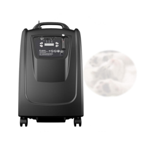 Veterinary oxygen concentrator for anaesthesia and oxygen therapy in small animal clinics