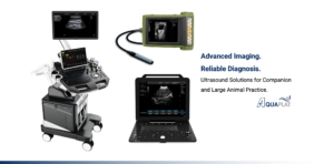 Portable and cart-based veterinary ultrasound machines for companion and large animal practice
