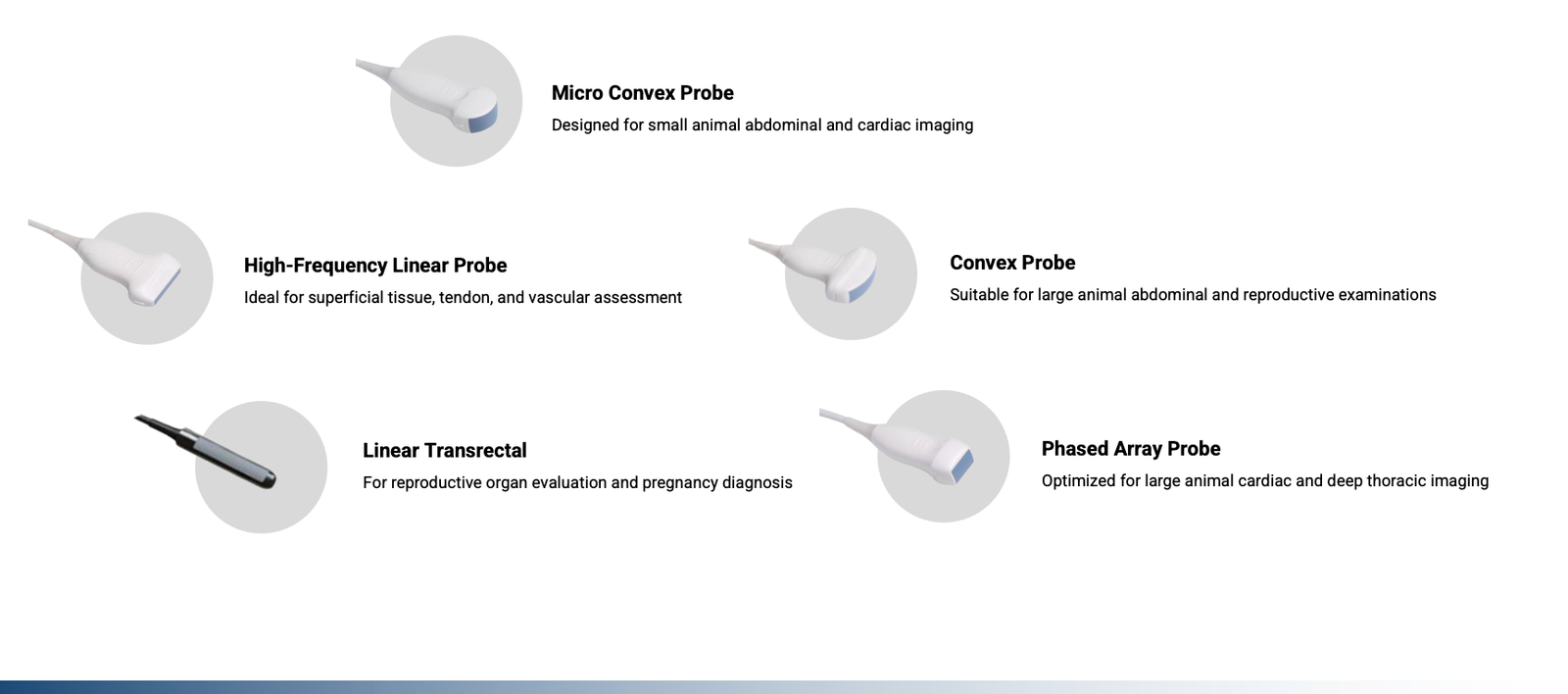 Common veterinary ultrasound probes including microconvex, linear, convex, linear transrectal and phased array