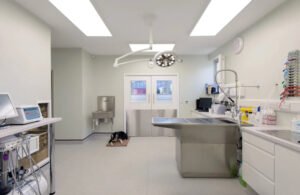 Veterinary Surgical Lights