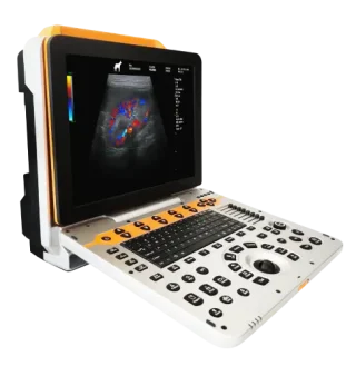 P60 vet ultrasound machine P60 vet ultrasound machine